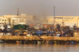 Image du Maroc Professionnelle de  Le port de pêche de Laayoune le 2 Décembre 2003. (Photo / Abdeljalil Bounhar)

